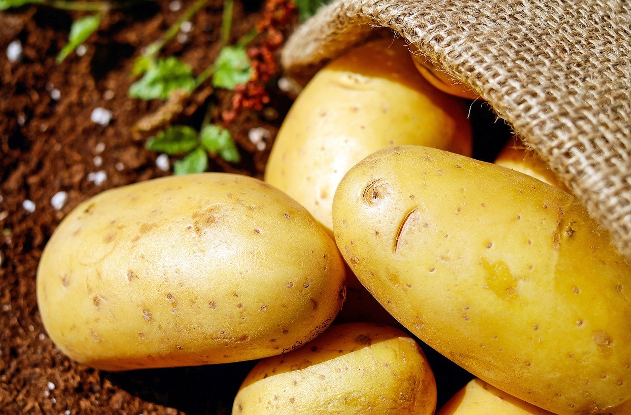 Worki na ziemniaki z juty - przyjazne dla środowiska