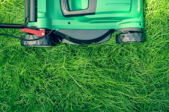 Trawniki w rolce – łatwość tworzenia trawnika